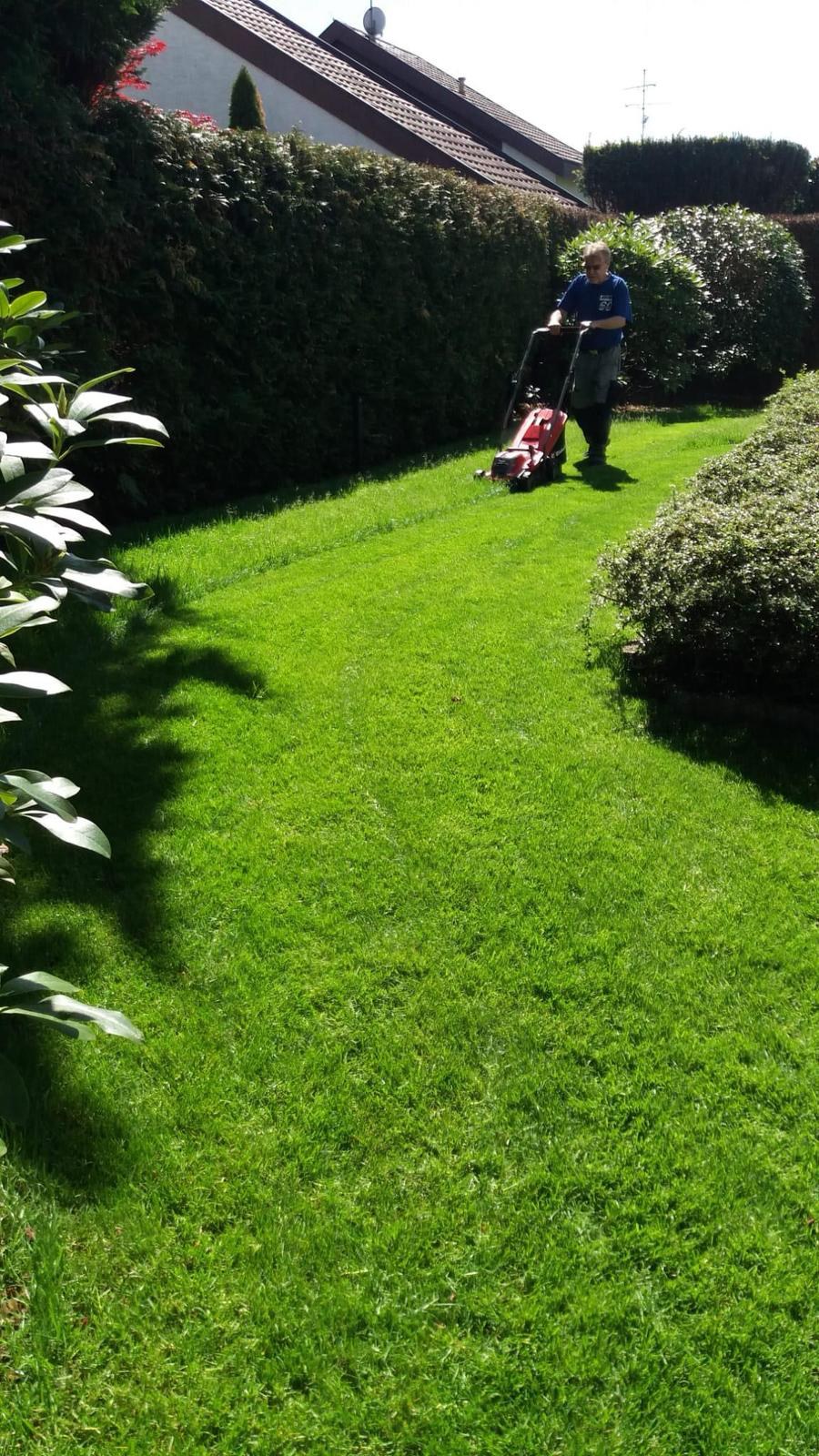 Gartenservice von Weiss Services